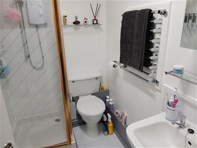 Picture 13